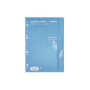 18 - Feuil.simples perf. 21x29,7 Grands Carreaux (50 feuilles)